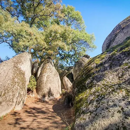 Апартаменты Comfort Blue