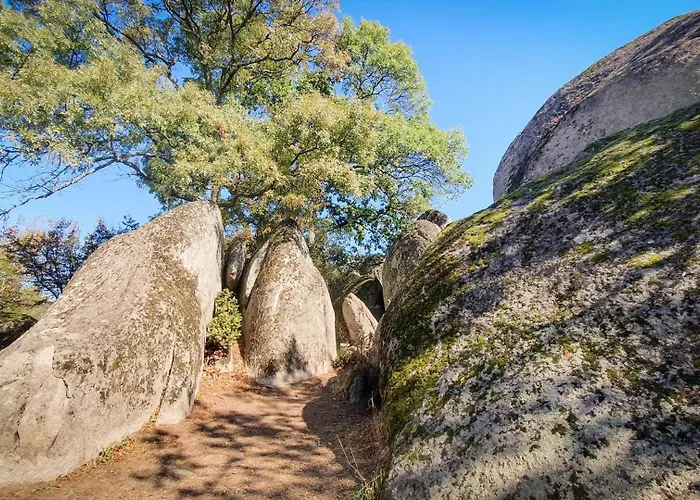 Апартаменты Comfort Blue