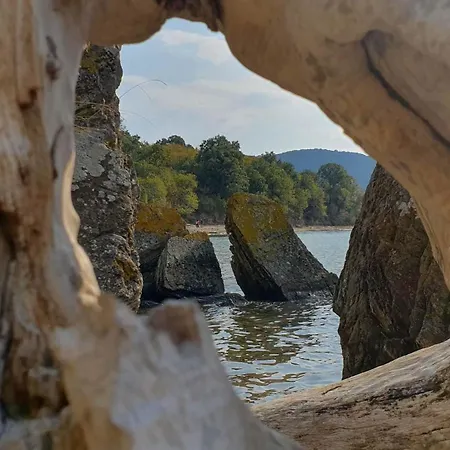 Comfort Blue Апартаменты